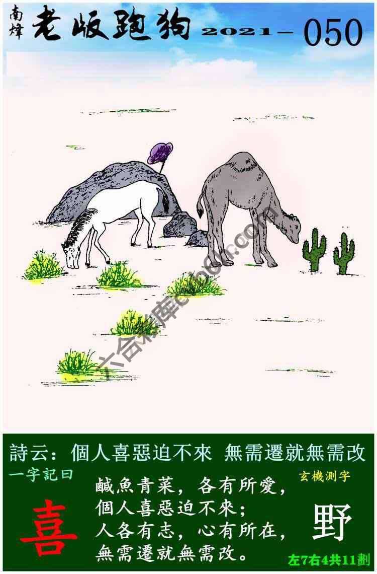 老版跑狗图