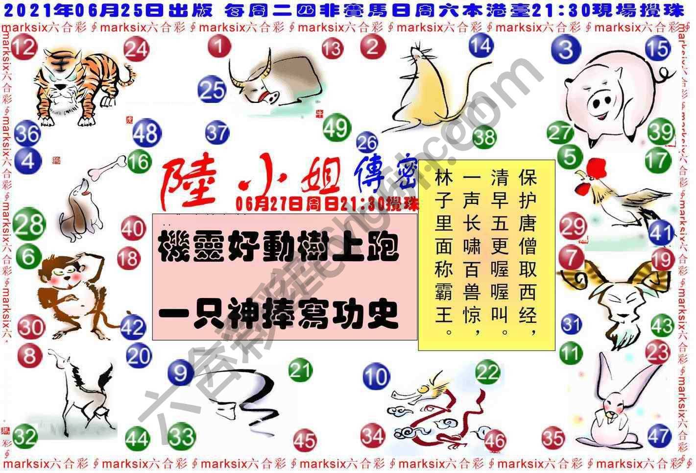 陆小姐传密