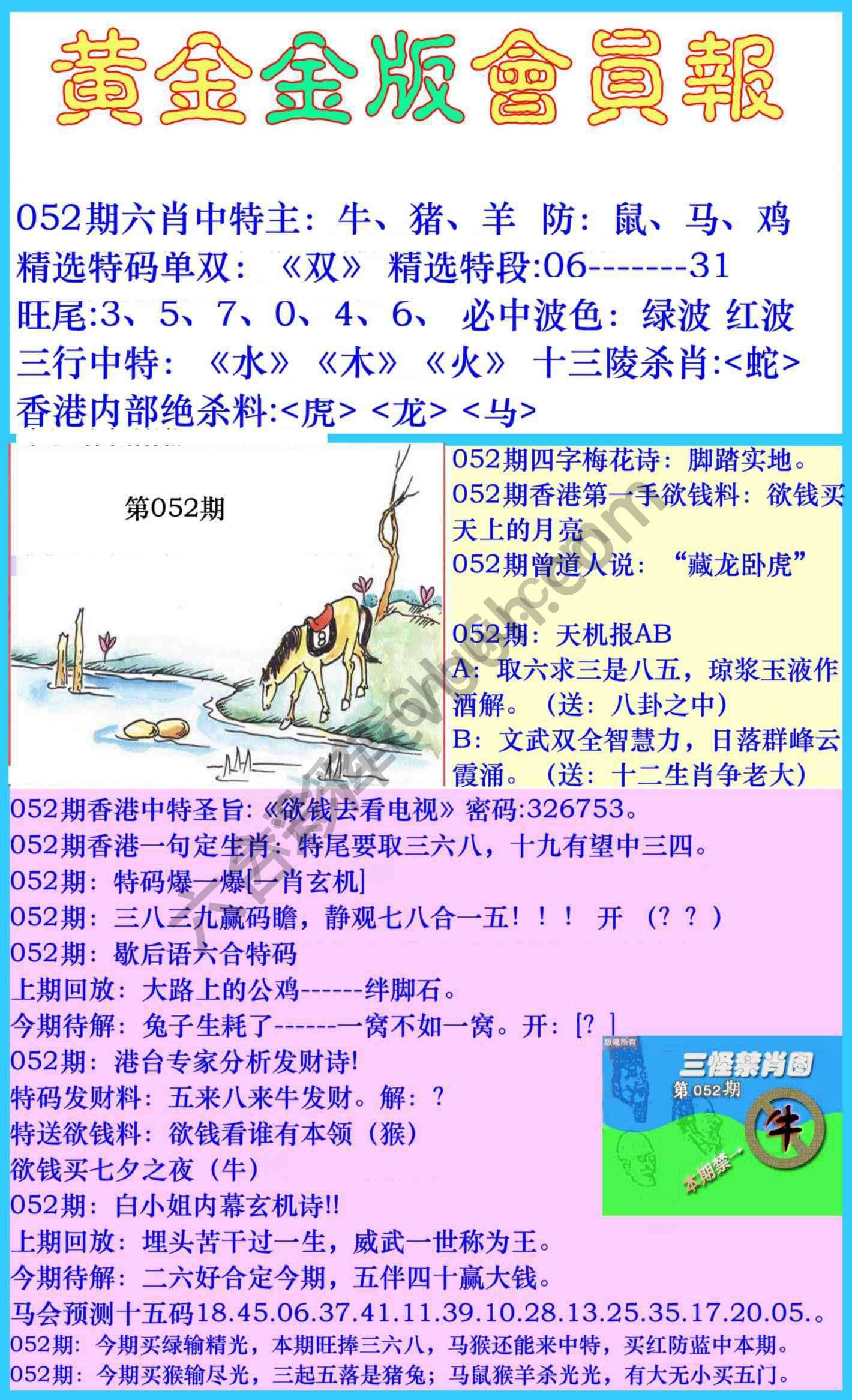 黄金金版会员报