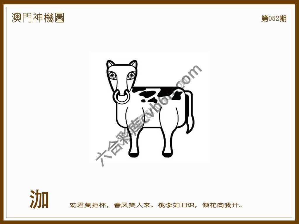 澳门神机图