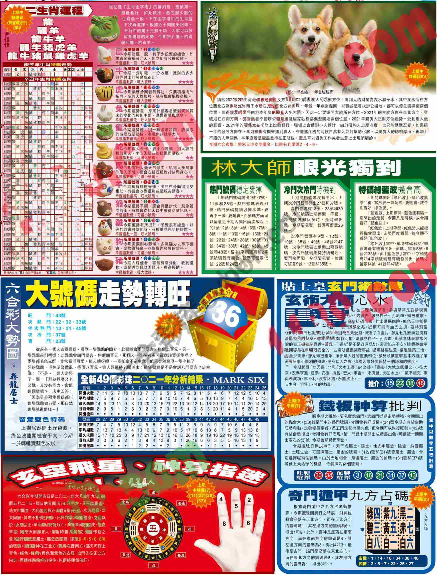 大版贴士皇