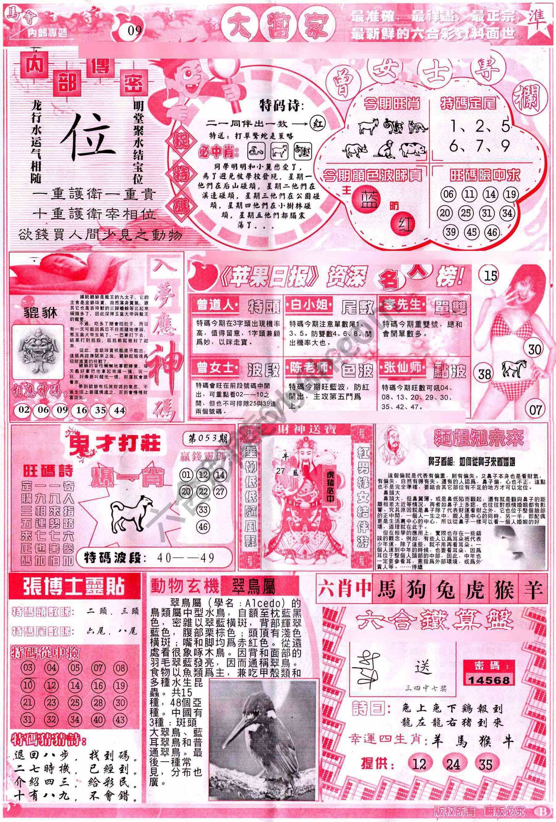 大当家