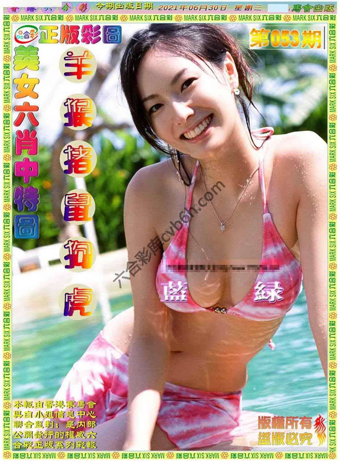 美女六肖图