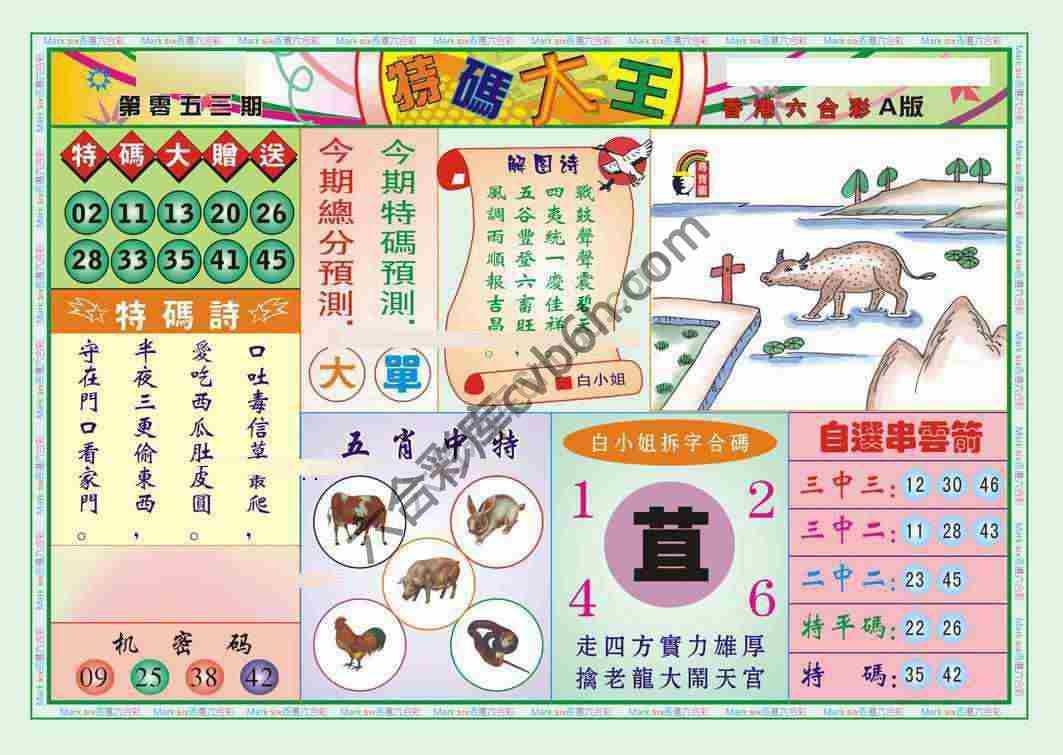 特码大王