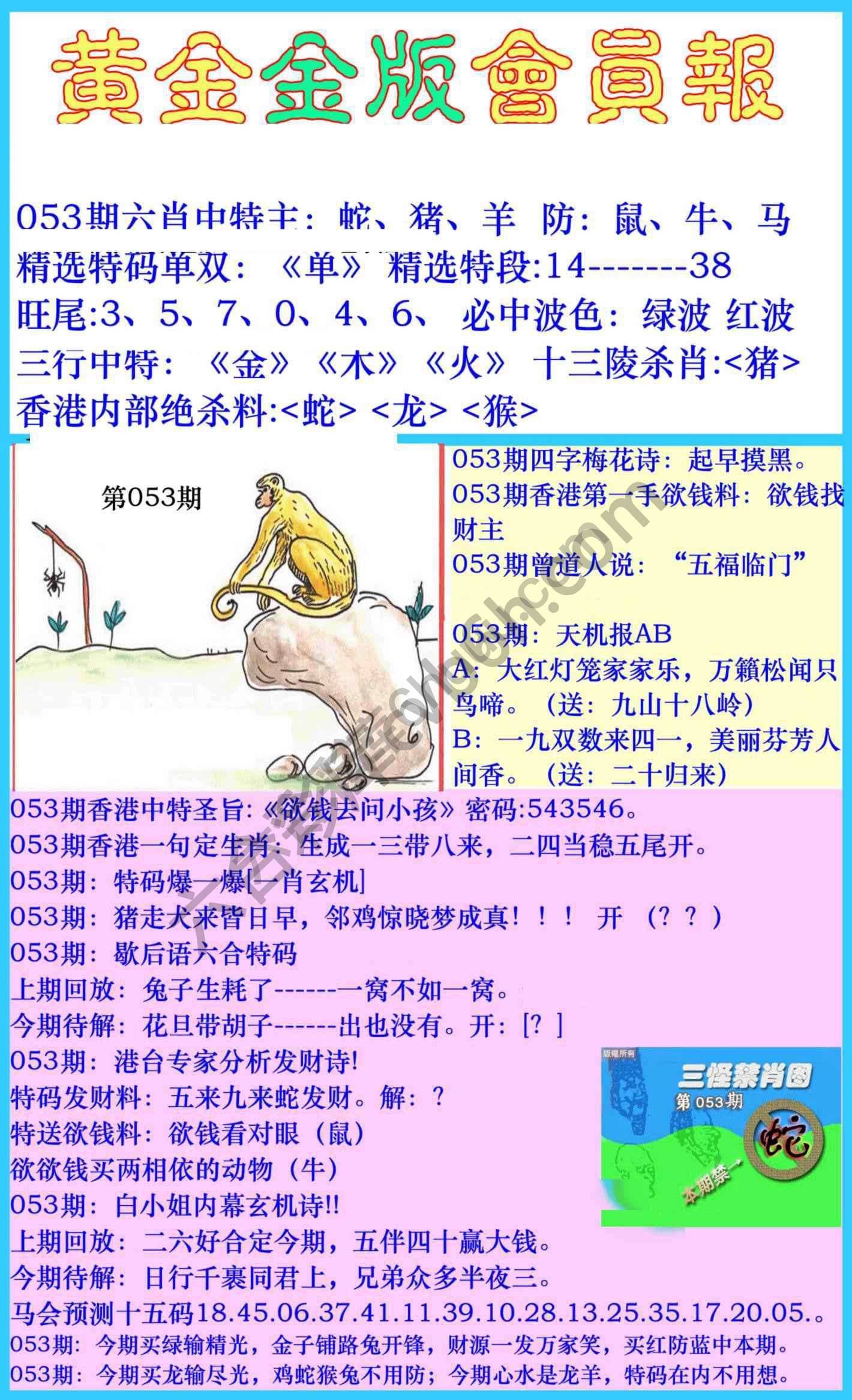 黄金金版会员报