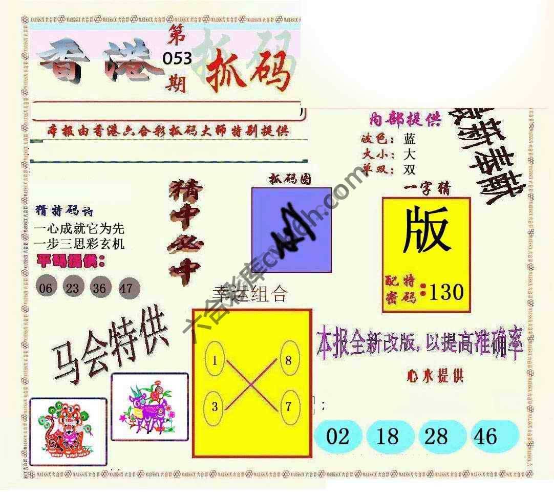 新抓码王