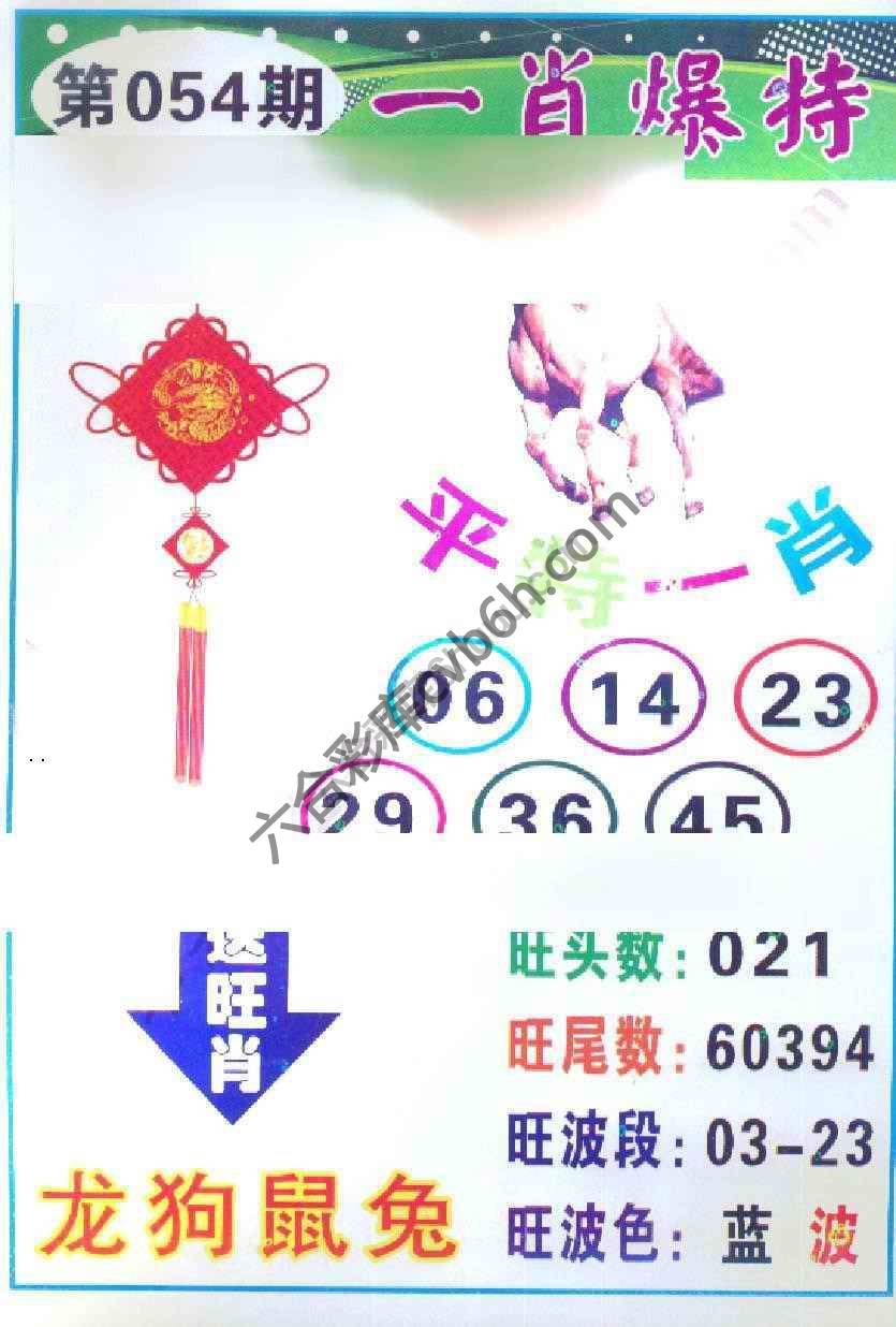 一肖爆特（新版）