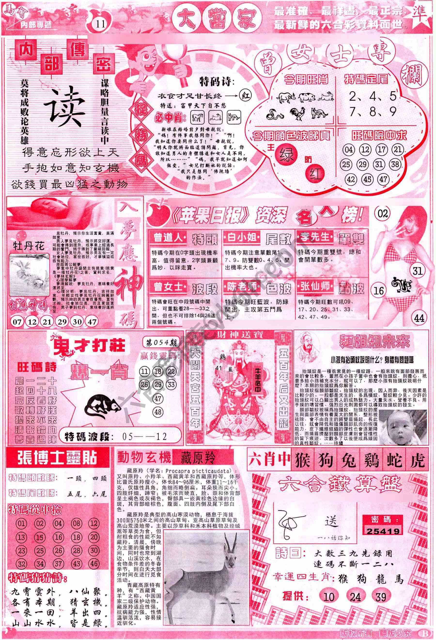大当家