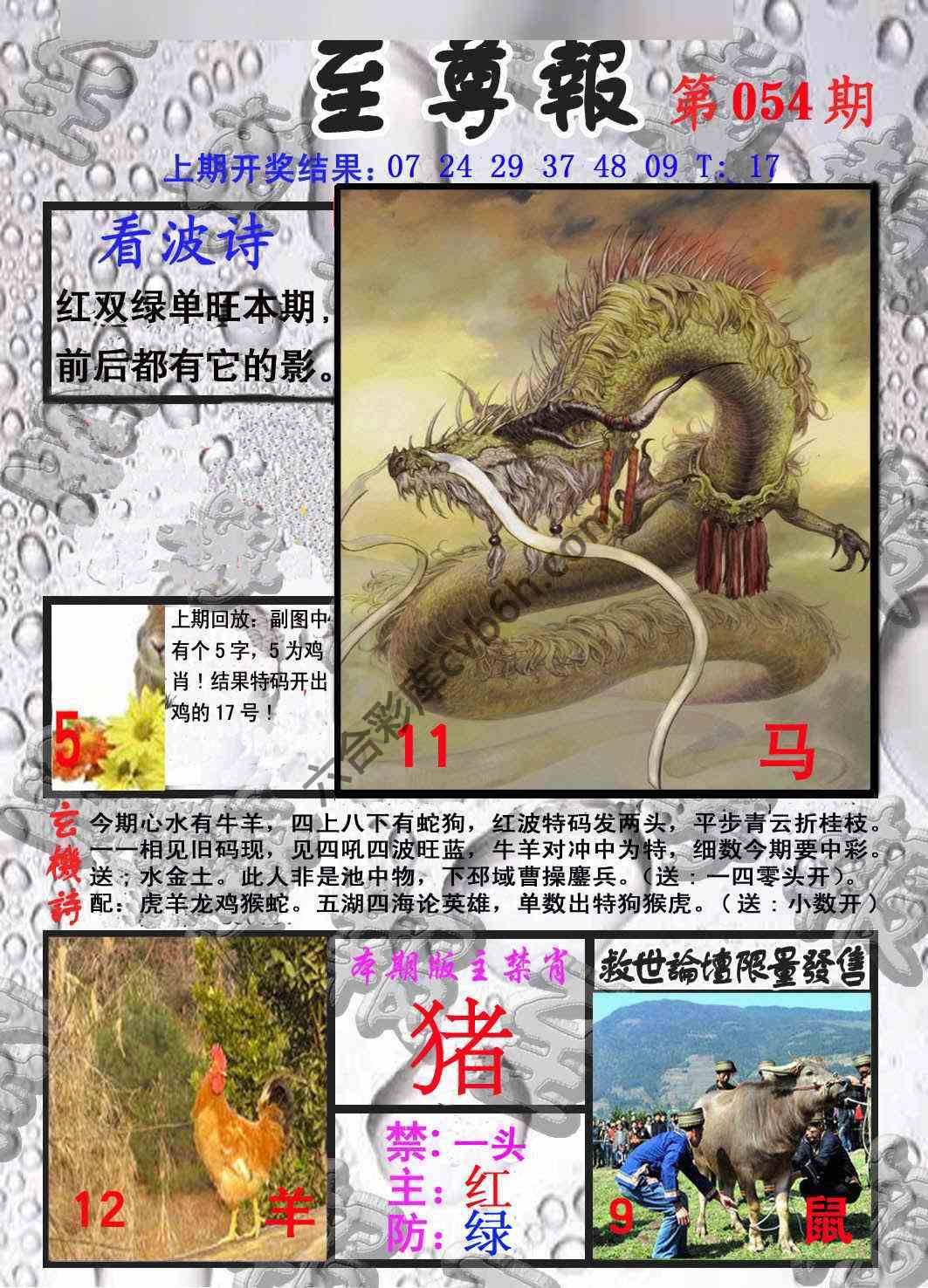 至尊报