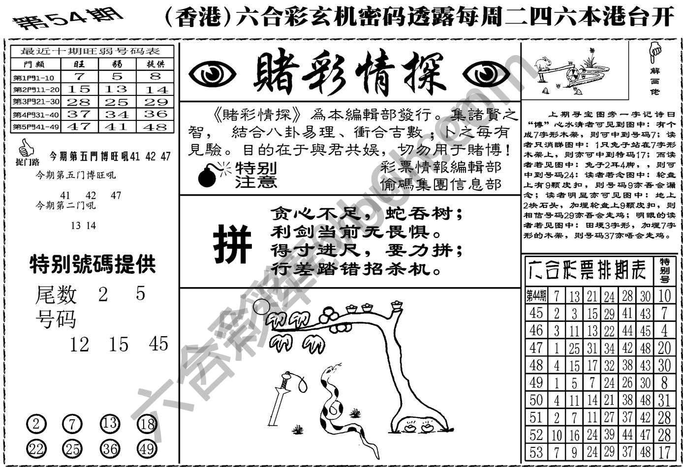 赌彩情探
