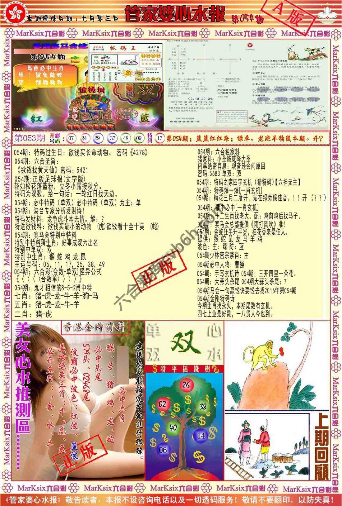 管家婆心水报