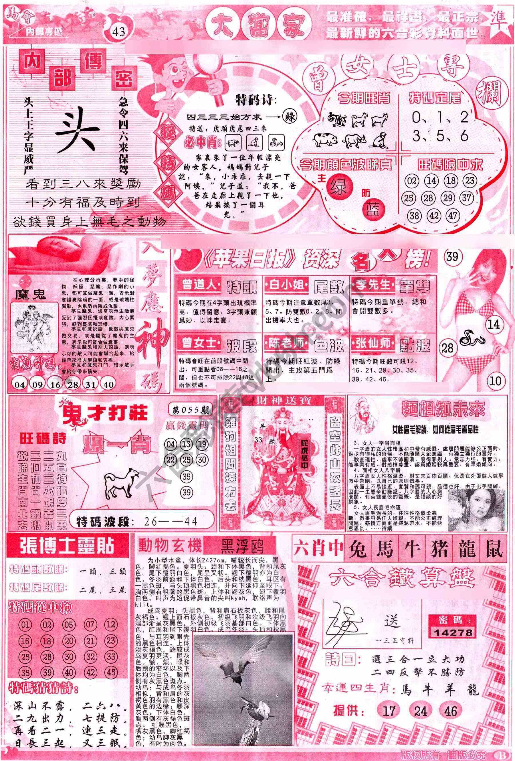 大当家