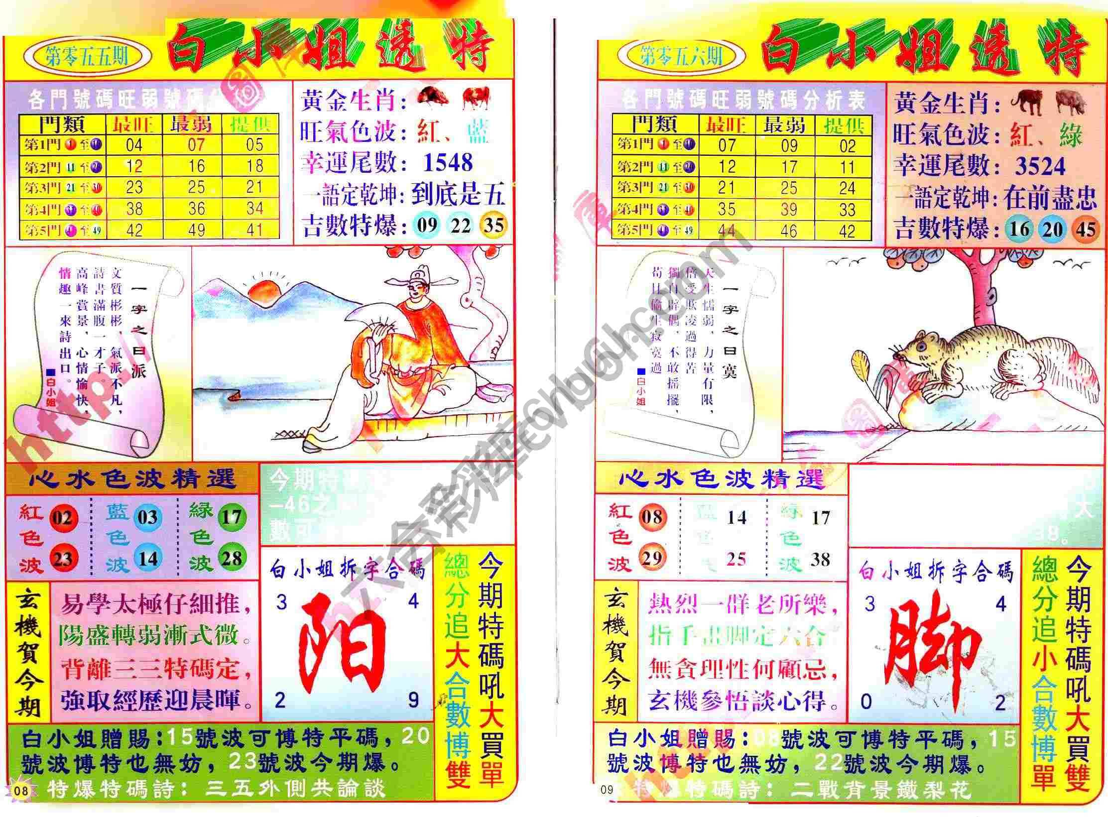 白小姐透特