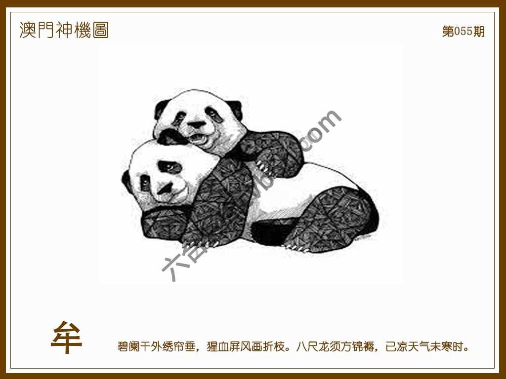 澳门神机图