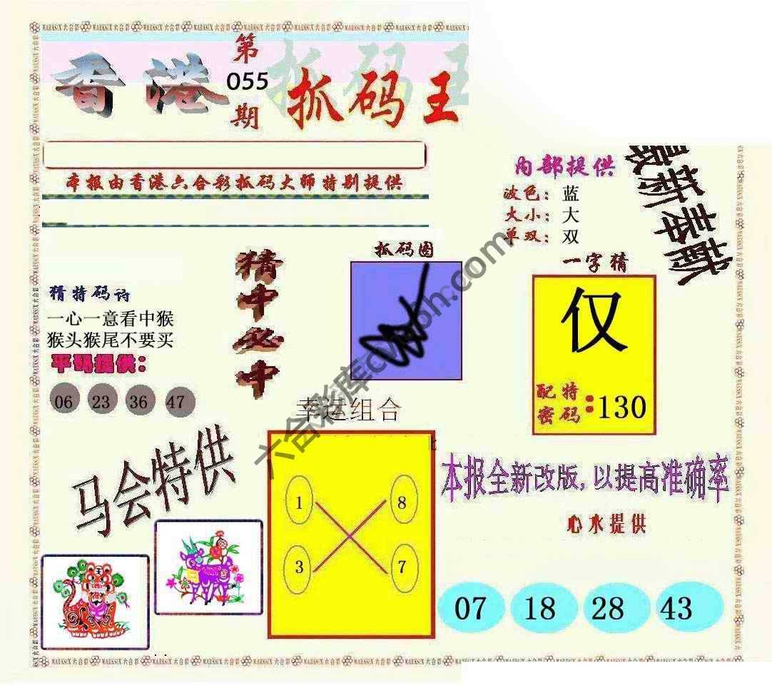 新抓码王