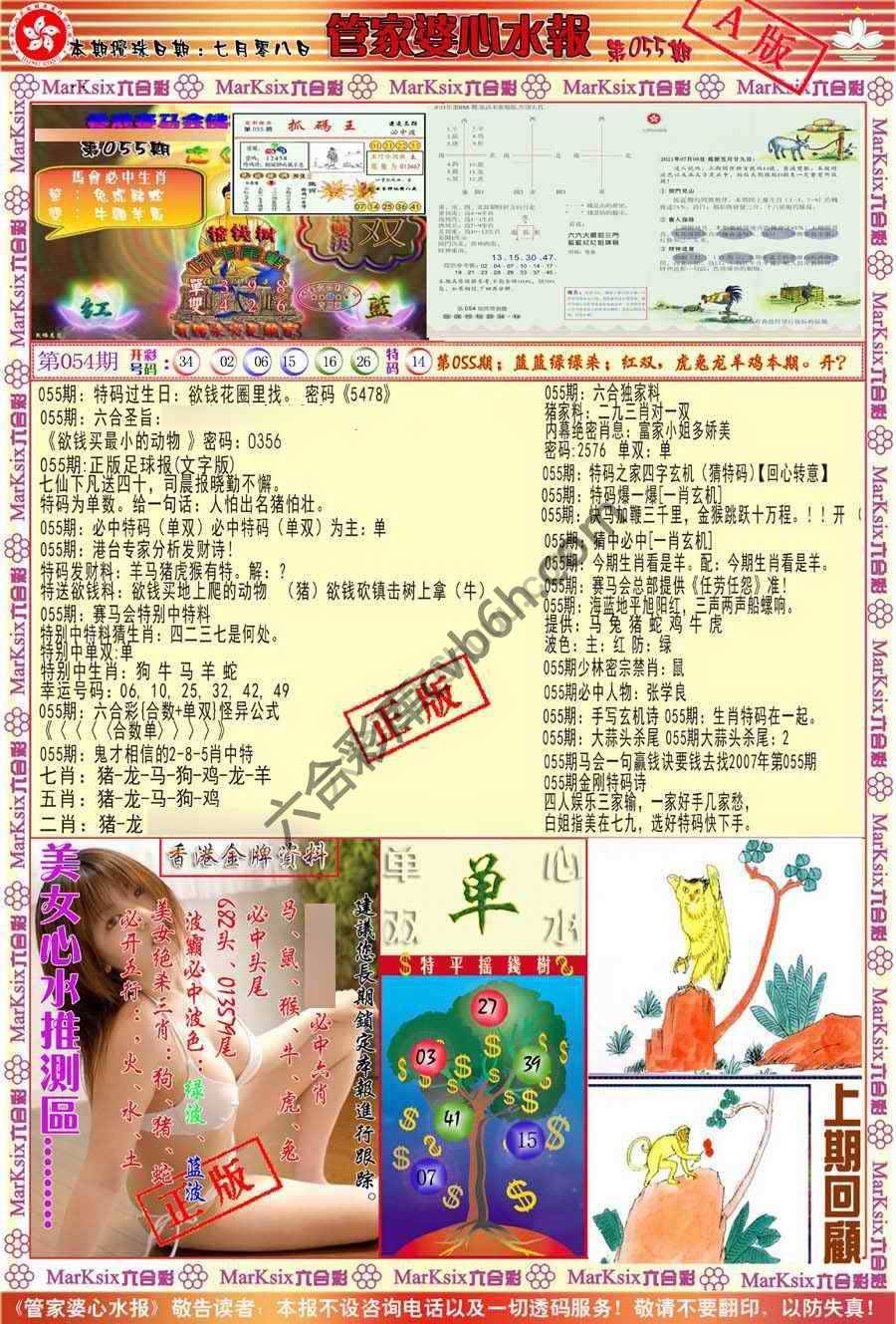 管家婆心水报