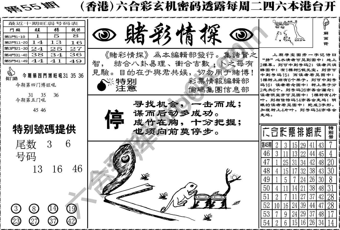 赌彩情探