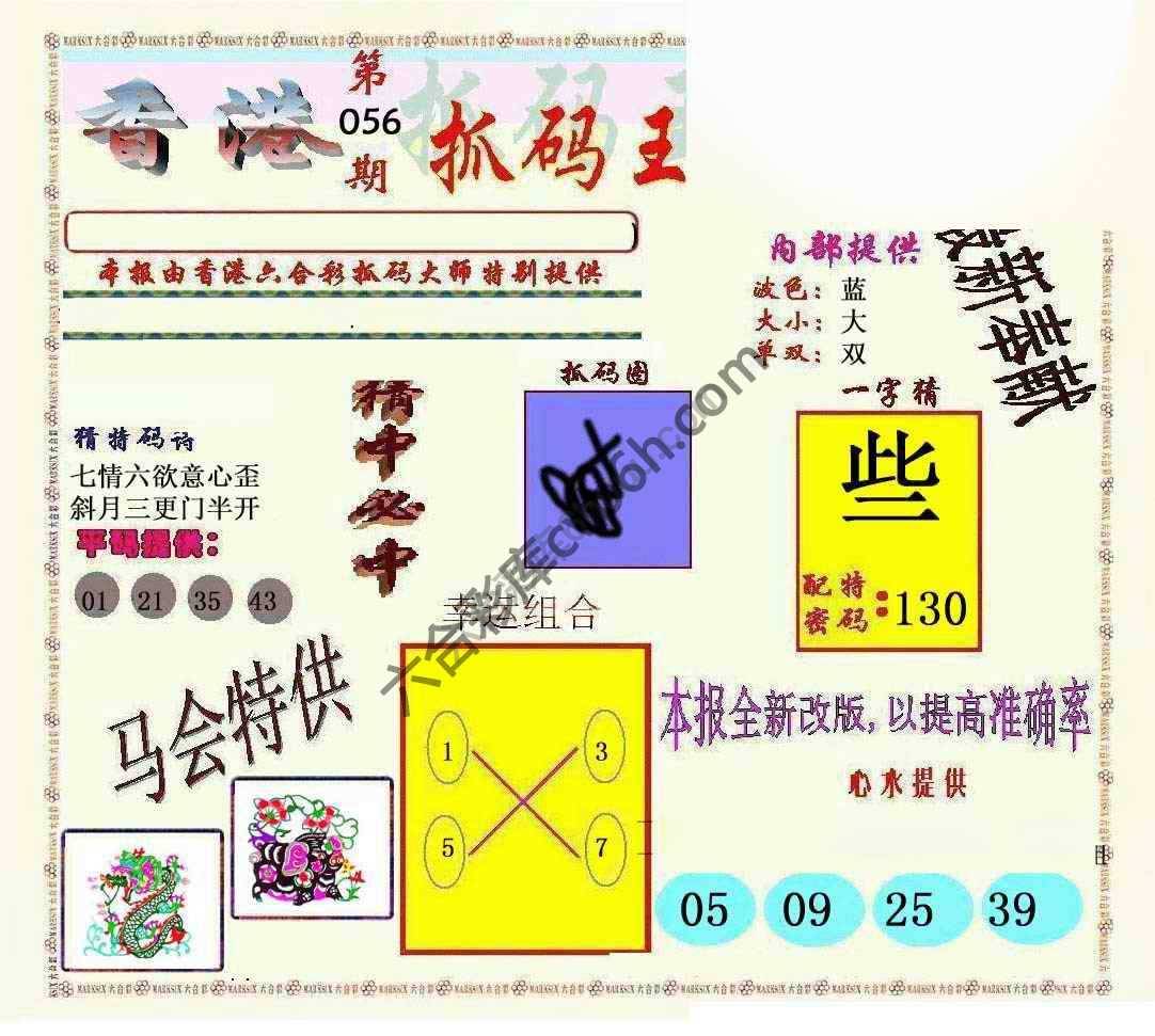 新抓码王