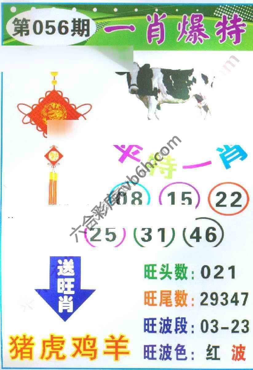 一肖爆特（新版）