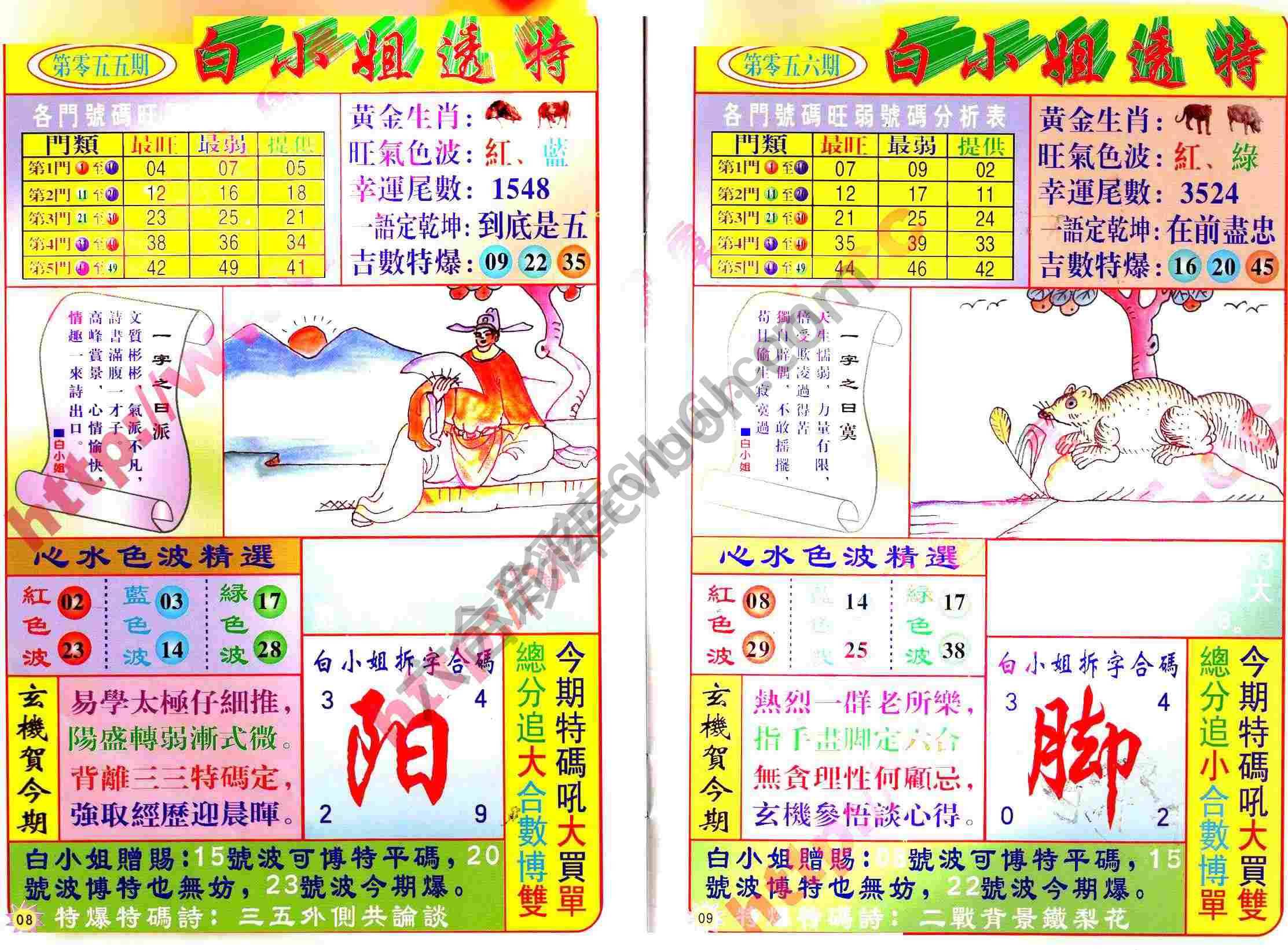 白小姐透特