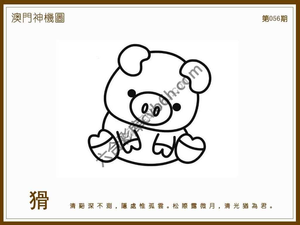 澳门神机图