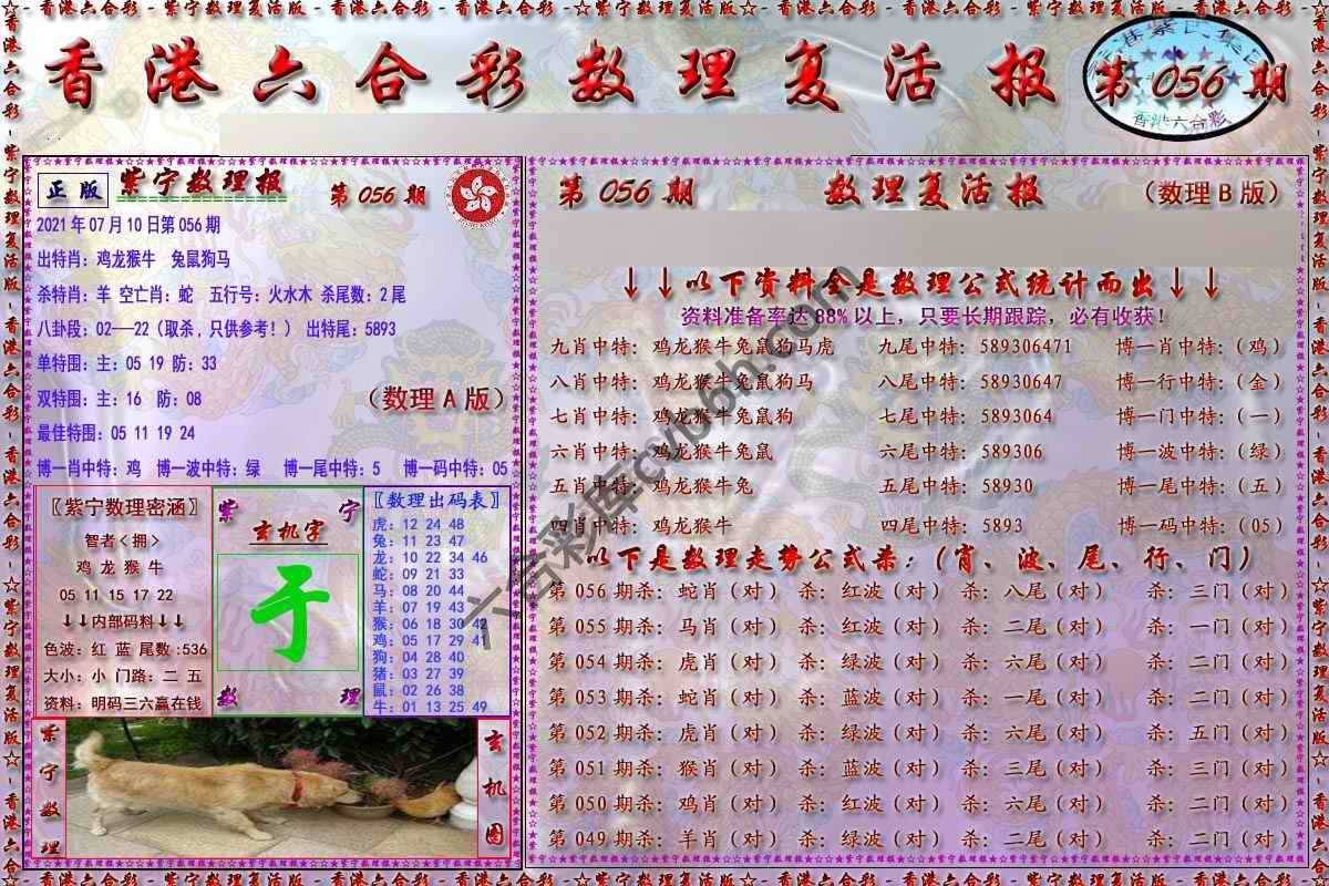 数理复活报