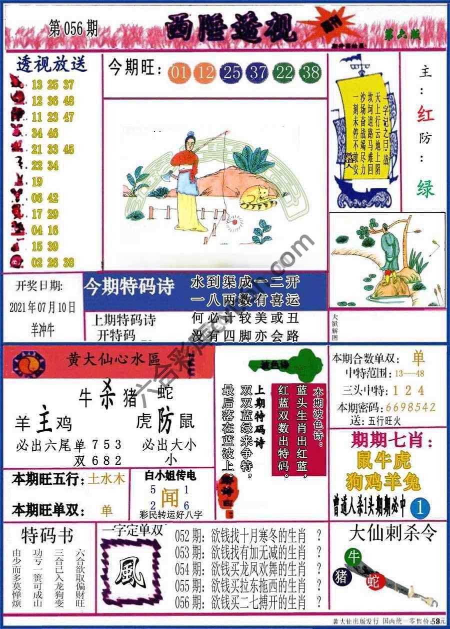 西陲透视（正版）