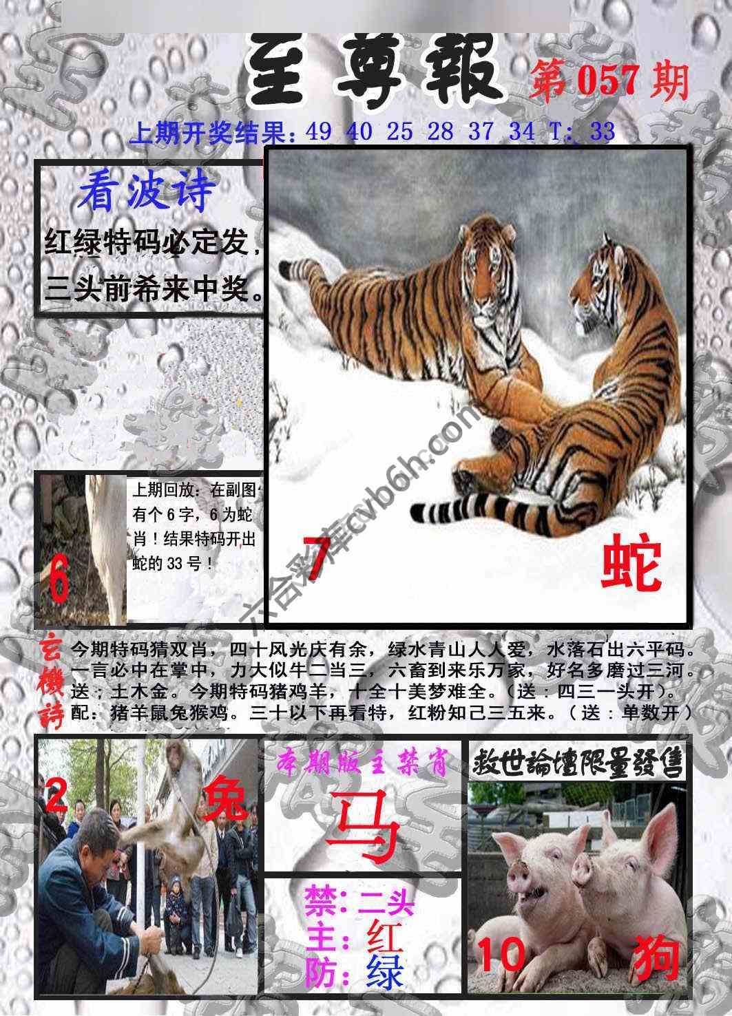 至尊报