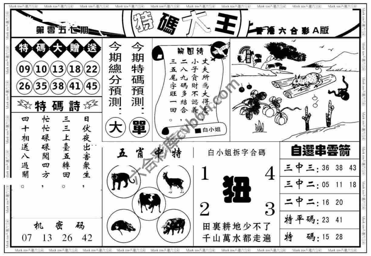 特码大王