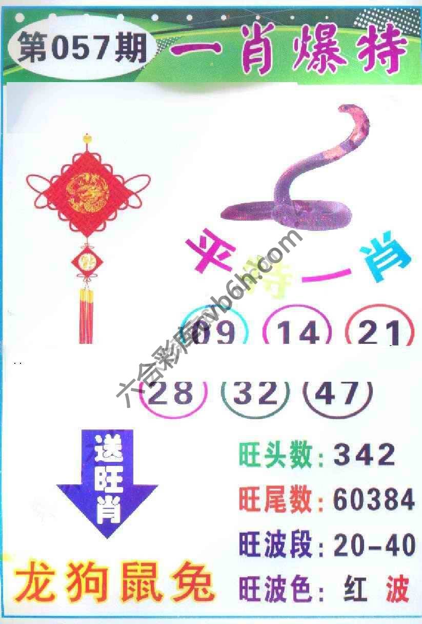 一肖爆特（新版）