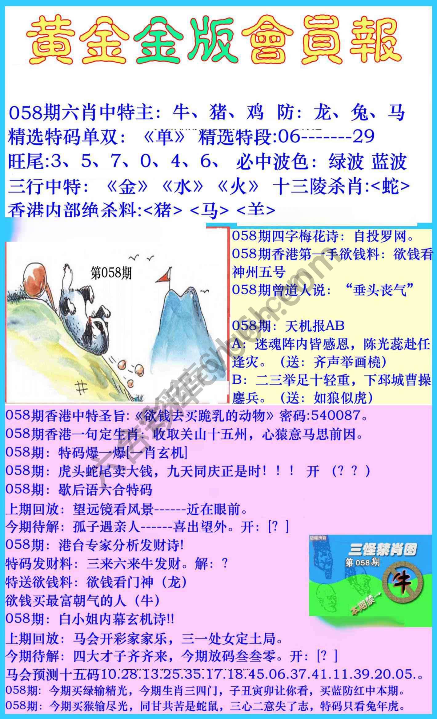 黄金金版会员报