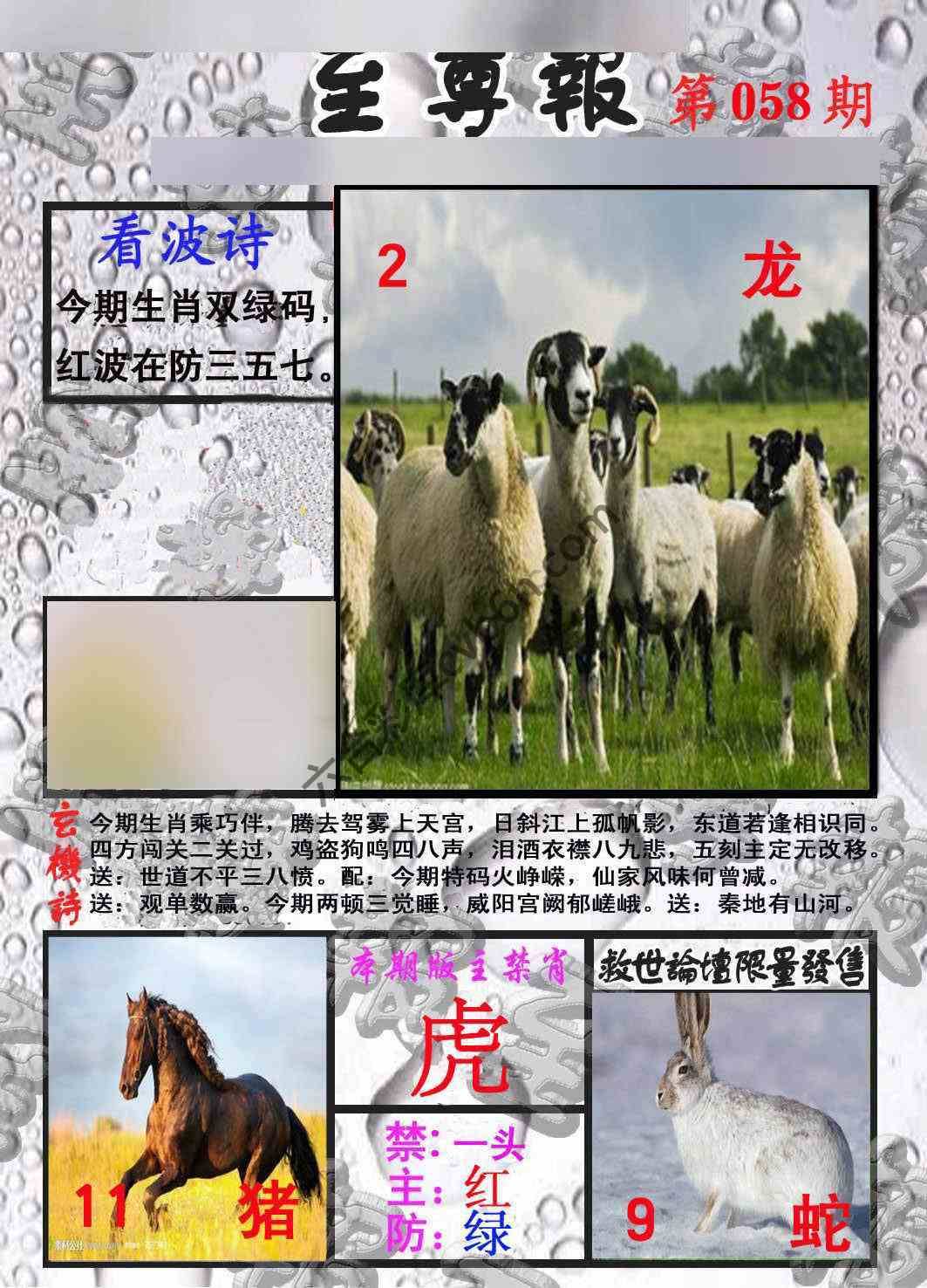 至尊报