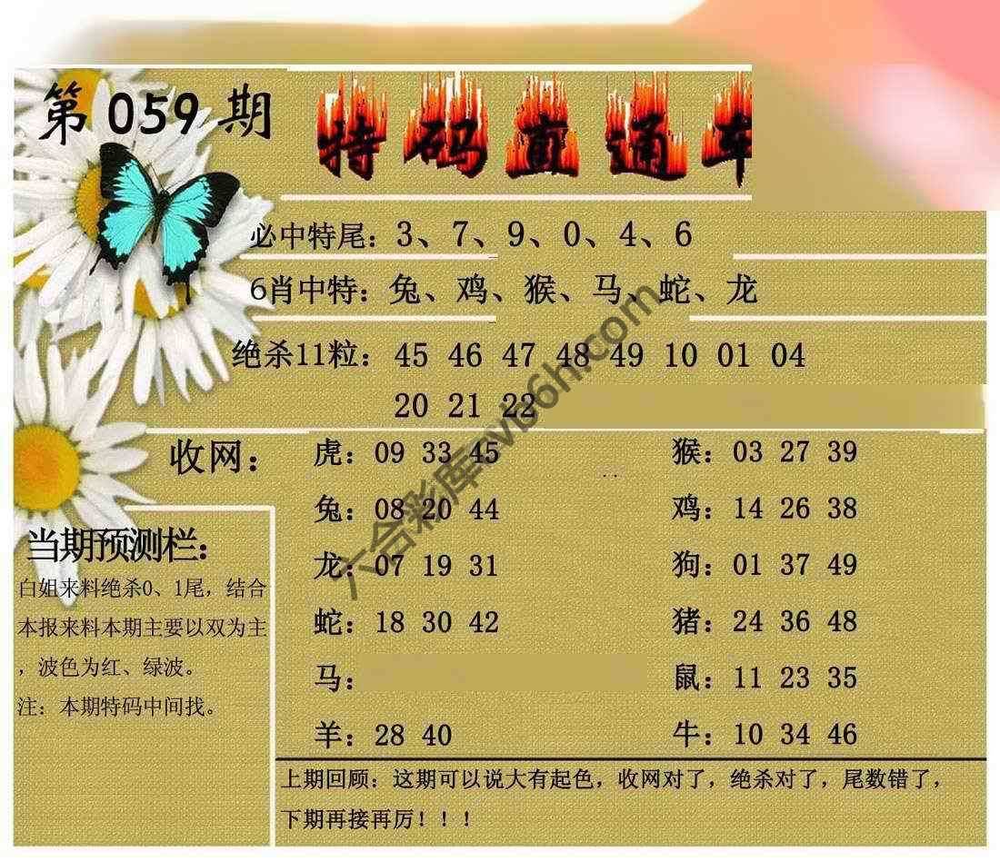 特码直通车