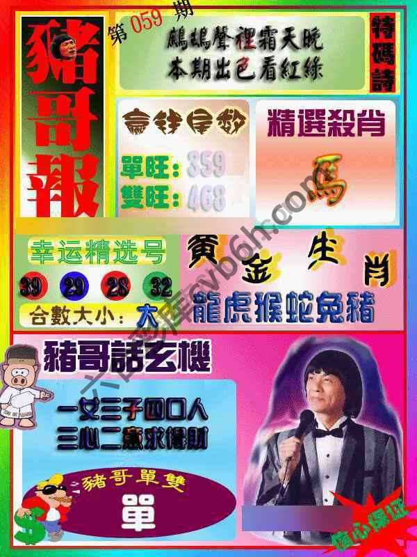 猪哥报