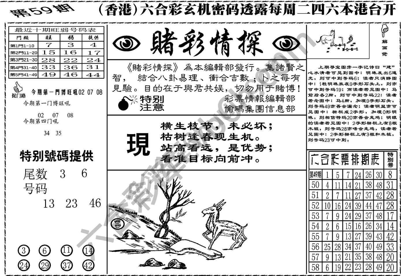 赌彩情探