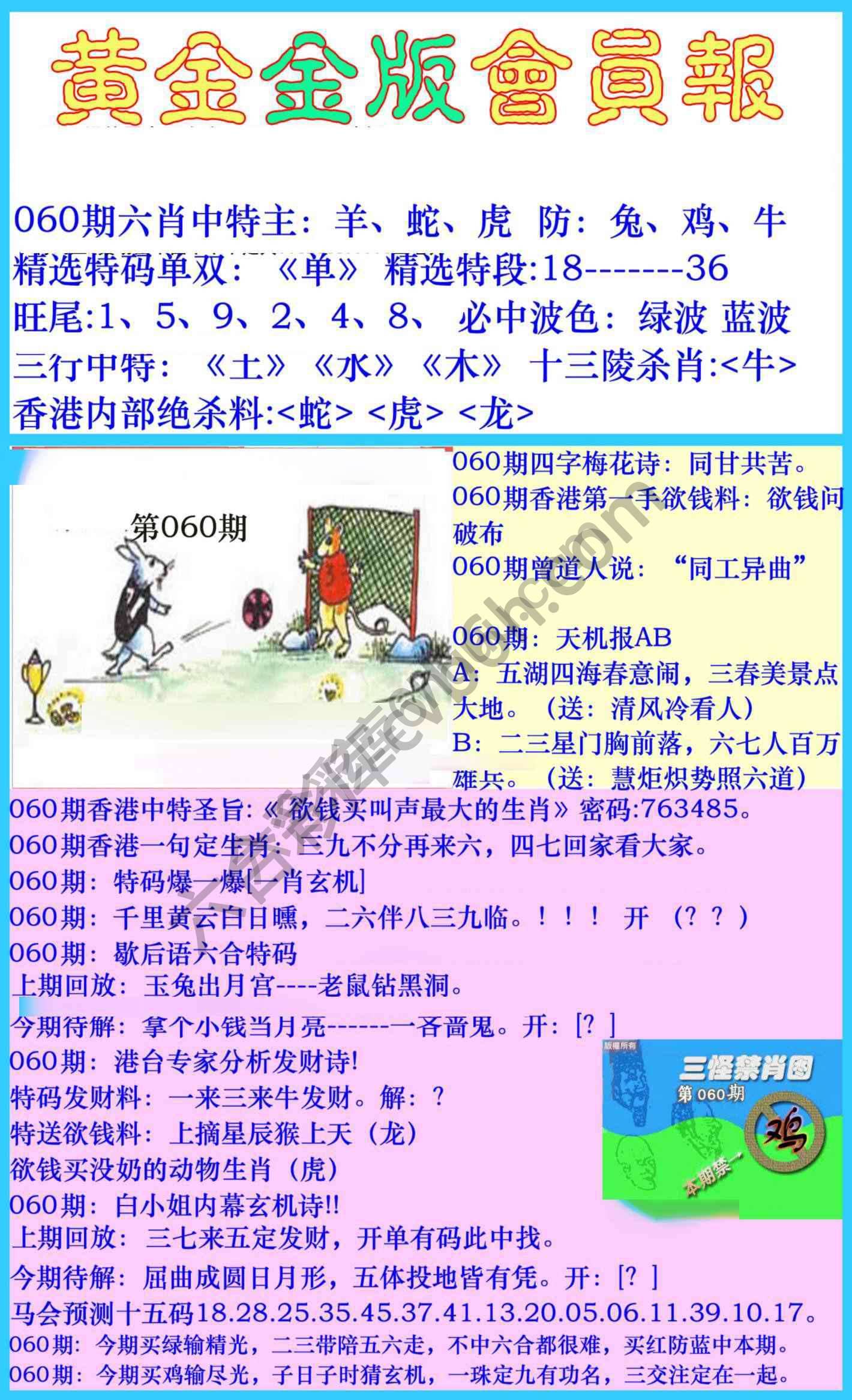 黄金金版会员报