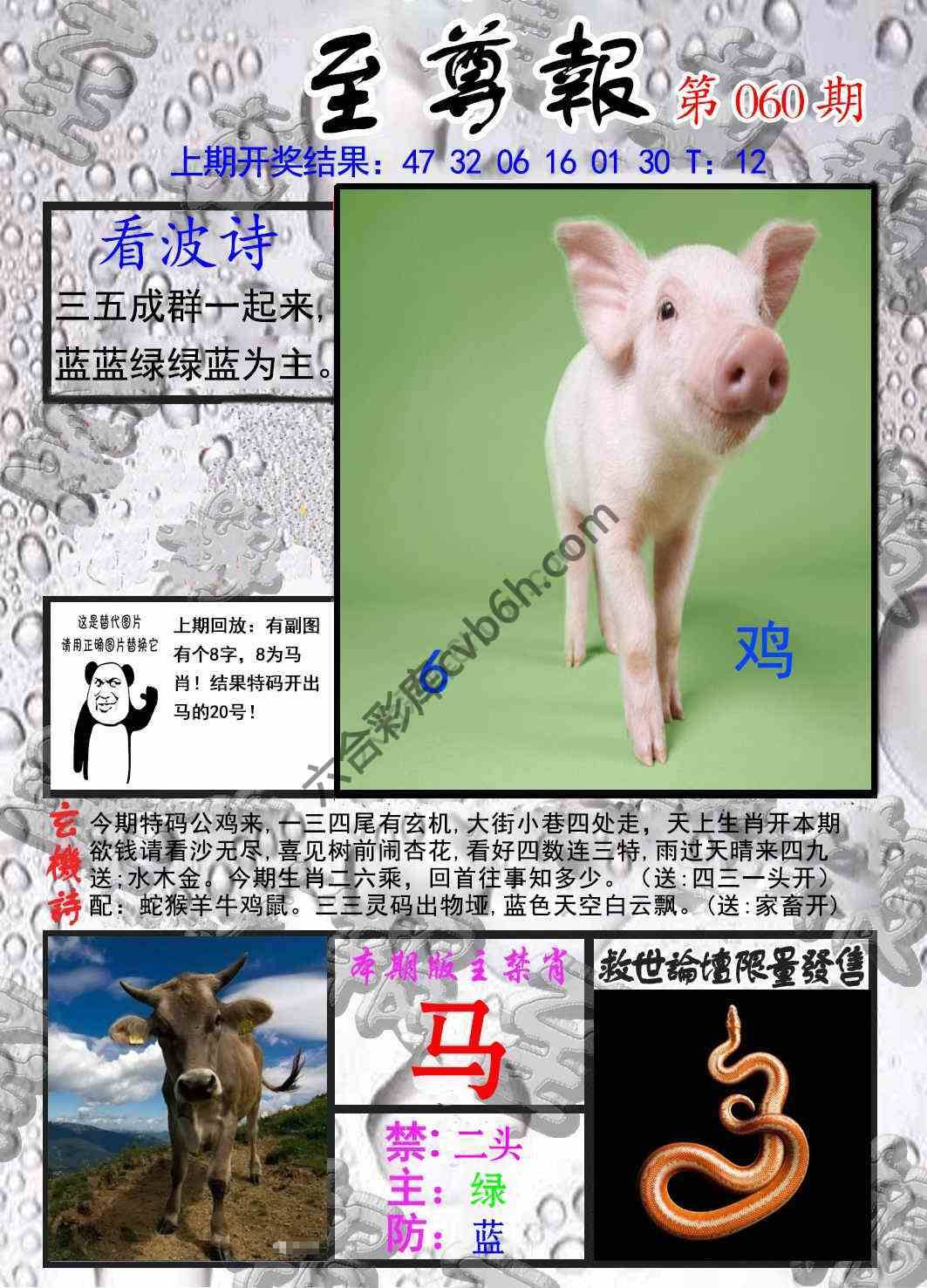 至尊报