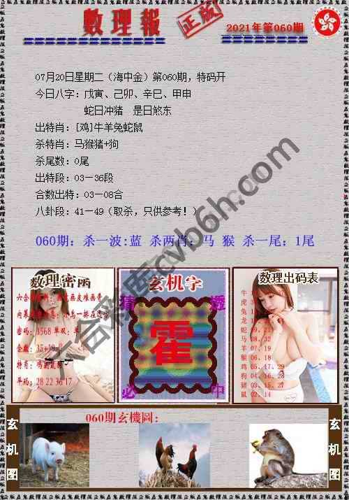 数理报