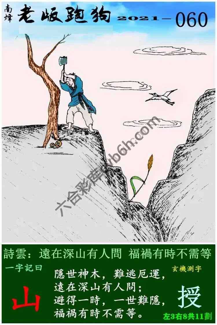 老版跑狗图