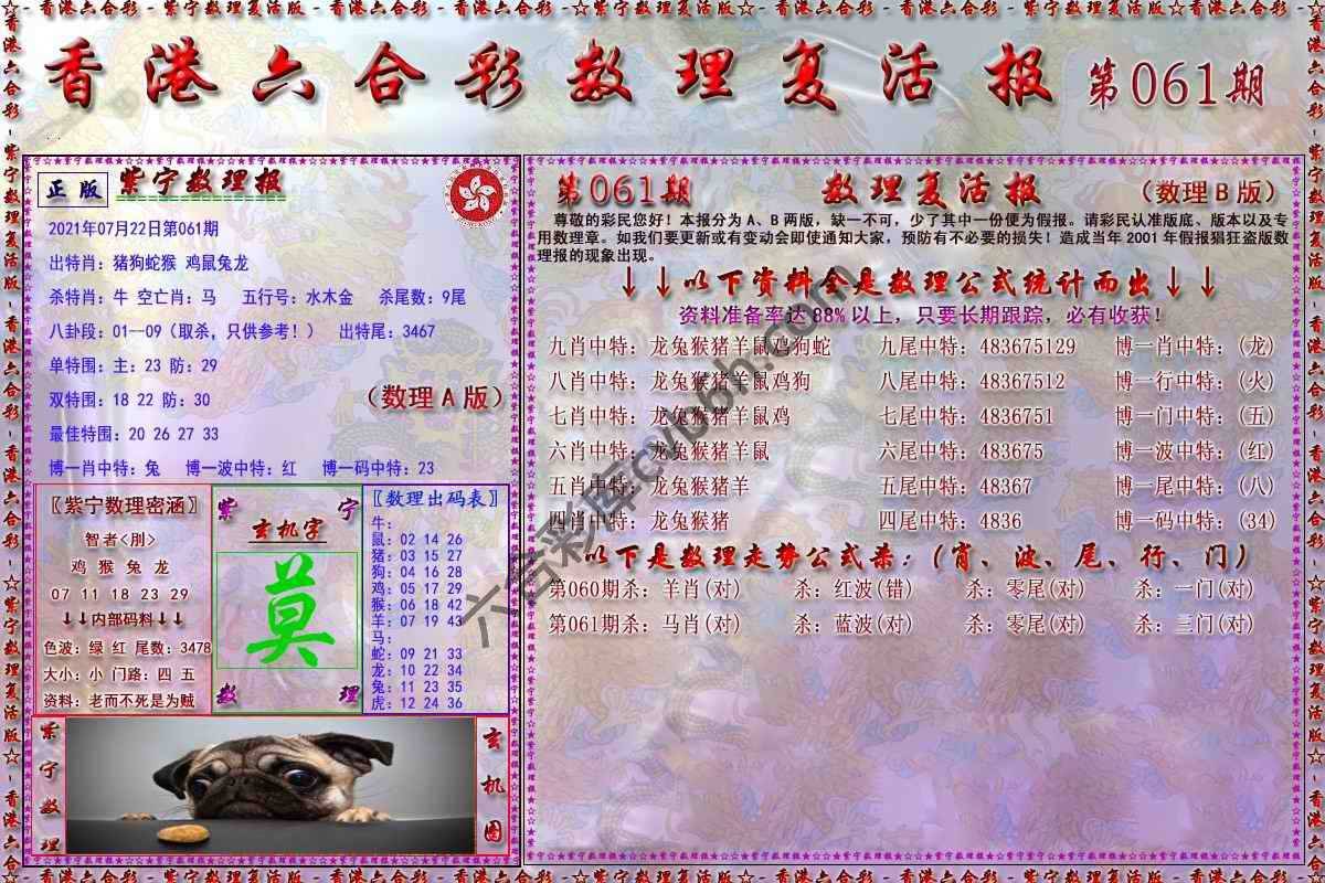 数理复活报