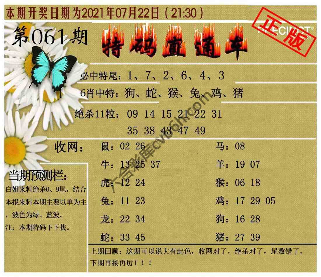 特码直通车