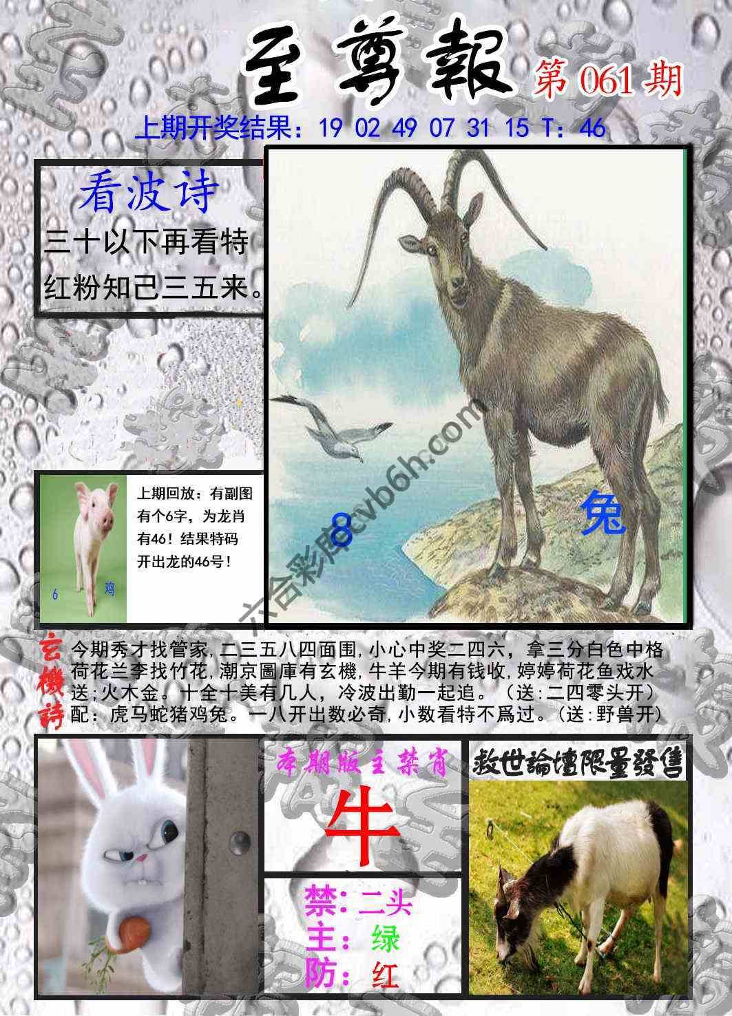 至尊报