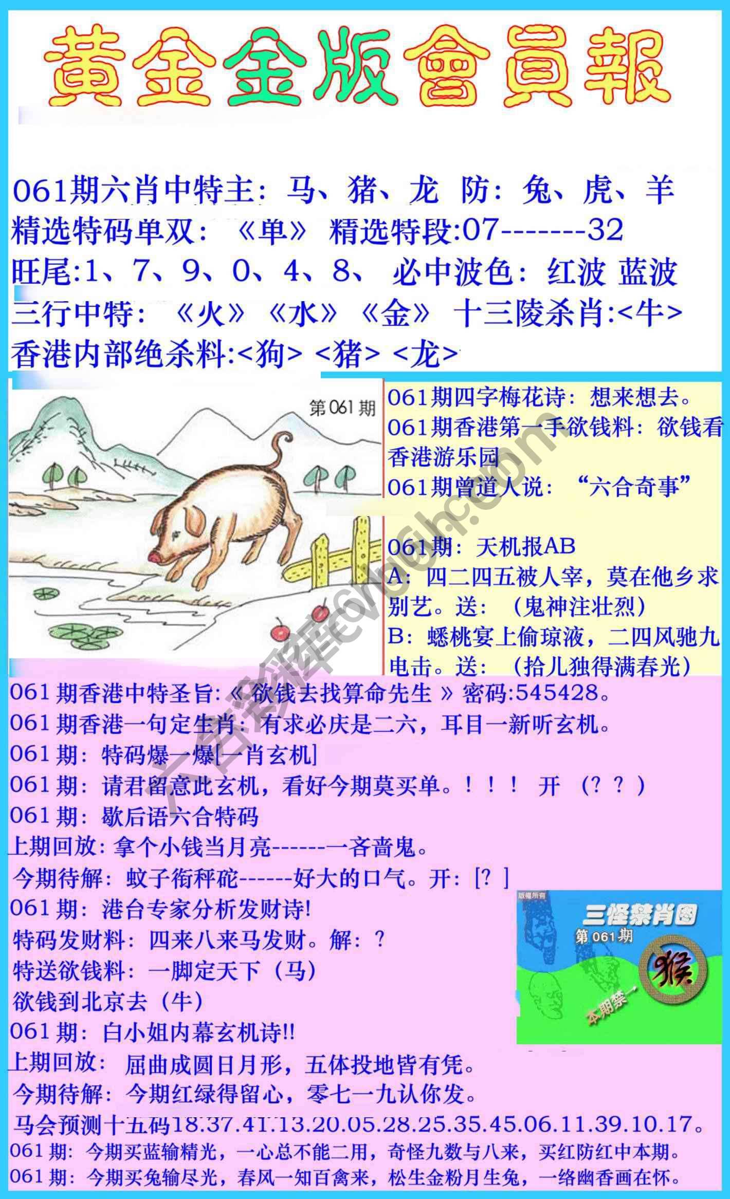 黄金金版会员报