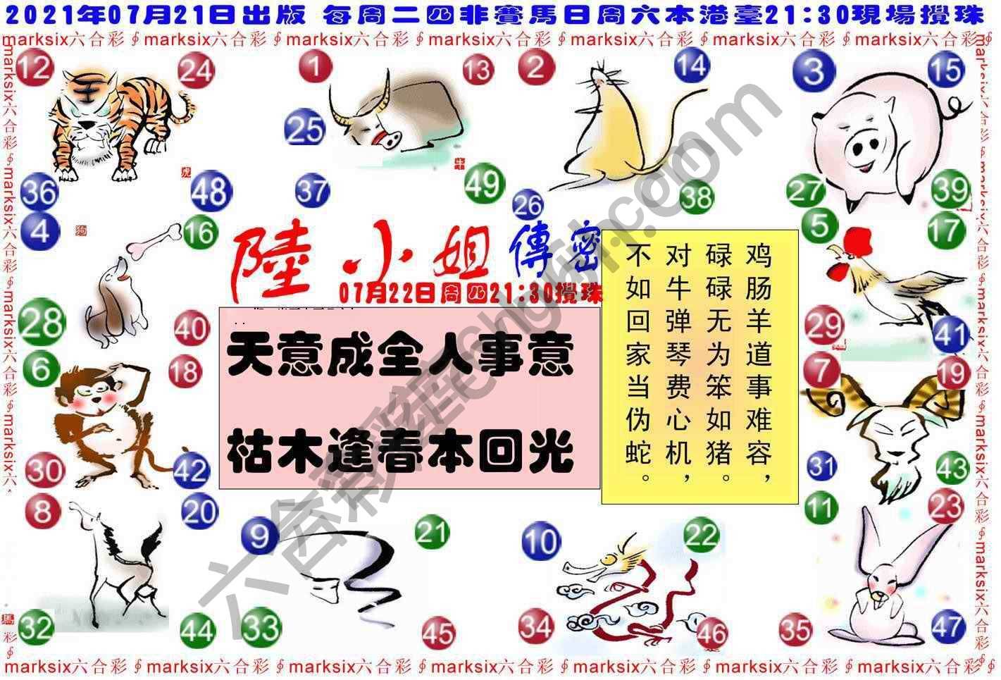 陆小姐传密