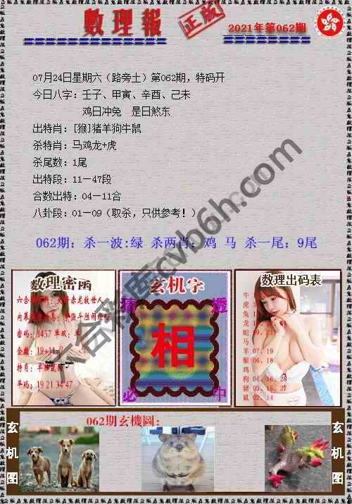 数理报