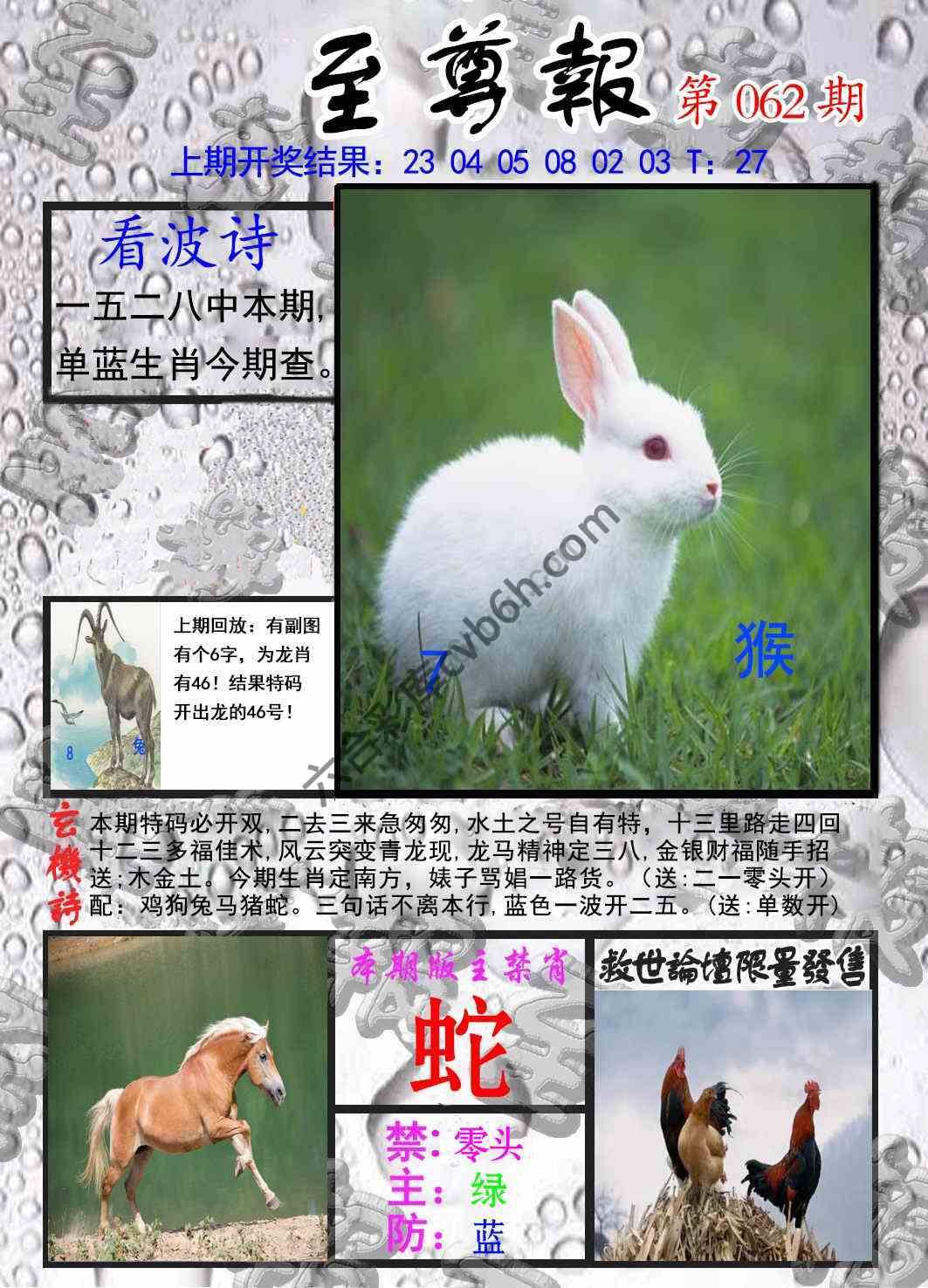 至尊报