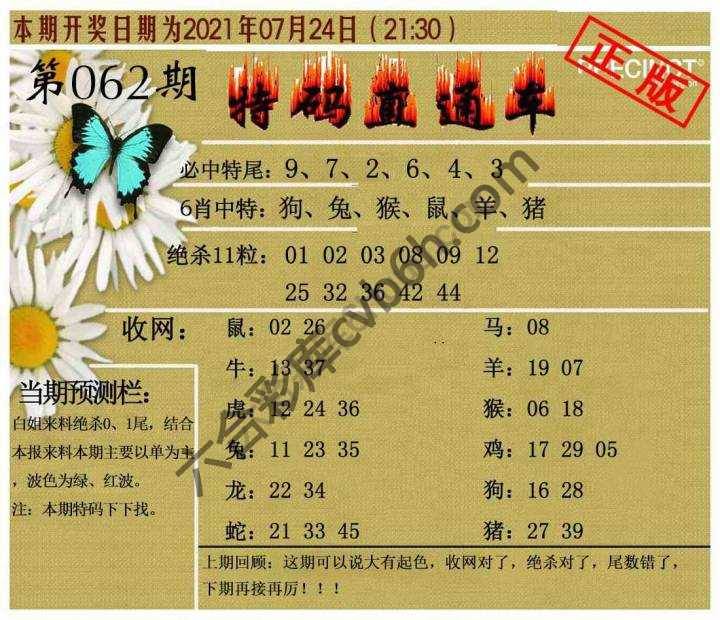 特码直通车