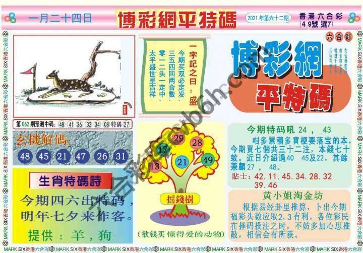 博彩网平特码