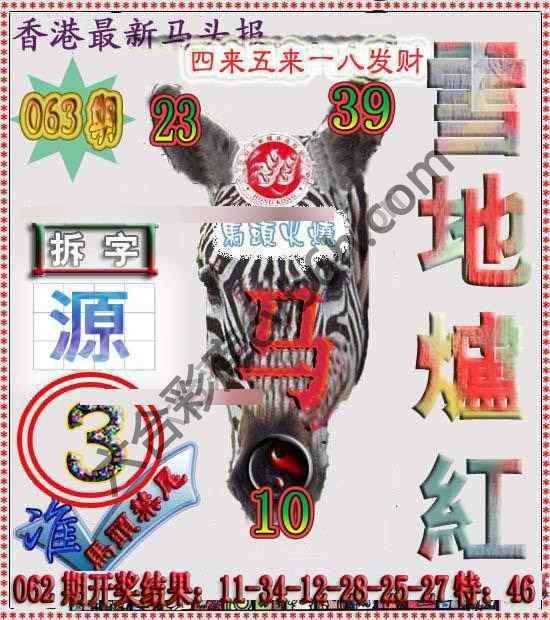 香港马头报