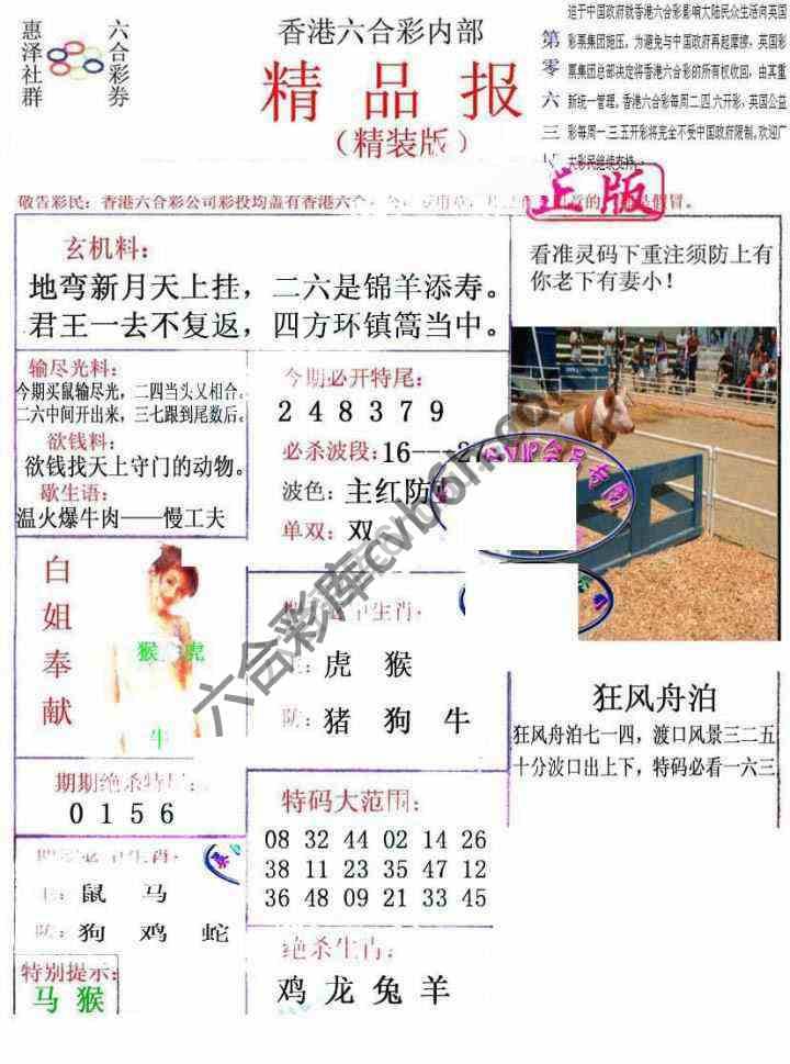 新精品报